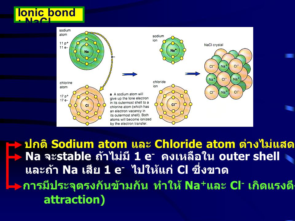 Ionic bond : NaCl ปกติ Sodium atom และ Chloride atom ต่างไม่แสดงประจุ Na มี e- ใน outer shell 1.