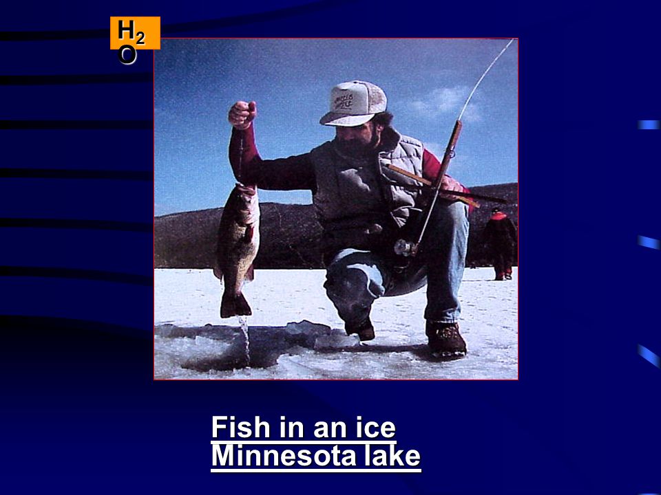 Fish in an ice Minnesota lake