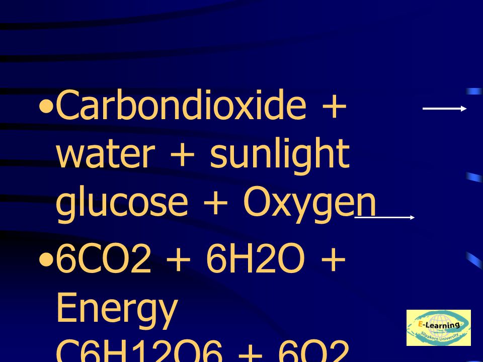 Carbondioxide + water + sunlight glucose + Oxygen