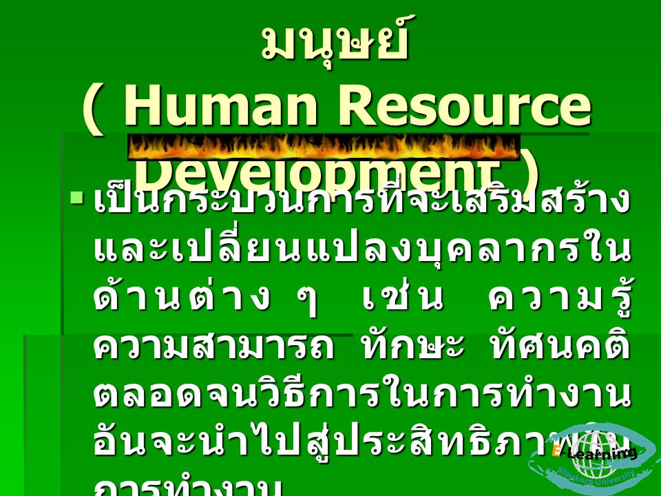 การพัฒนาทรัพยากรมนุษย์ ( Human Resource Development )