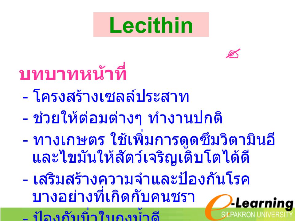 Lecithin  บทบาทหน้าที่ - โครงสร้างเซลล์ประสาท