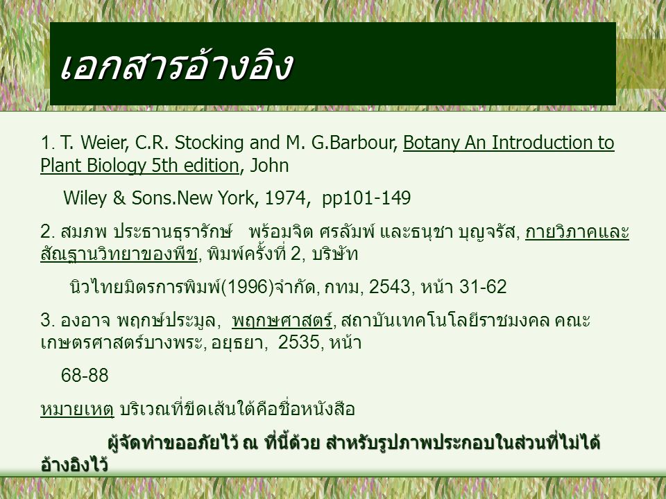เอกสารอ้างอิง 1. T. Weier, C.R. Stocking and M. G.Barbour, Botany An Introduction to Plant Biology 5th edition, John.