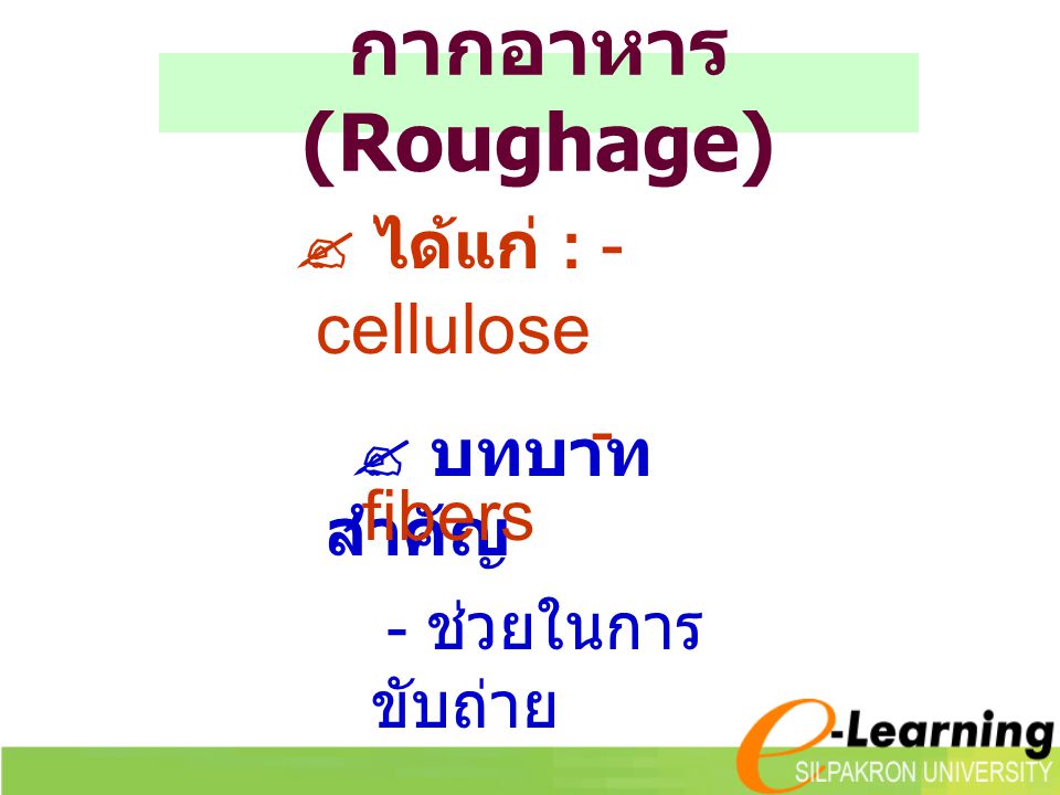 กากอาหาร (Roughage)  ได้แก่ : - cellulose  บทบาทสำคัญ - fibers