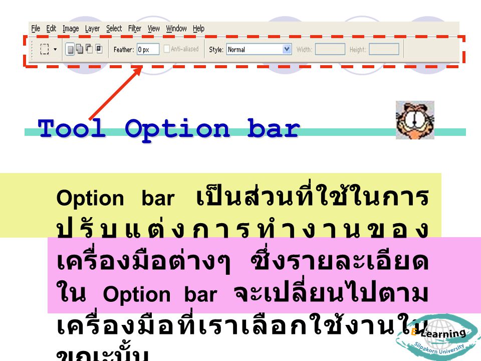 Tool Option bar