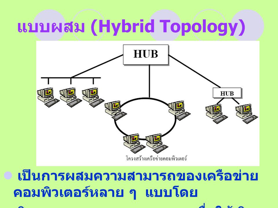 แบบผสม (Hybrid Topology)