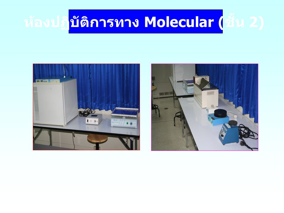 ห้องปฏิบัติการทาง Molecular (ชั้น 2)