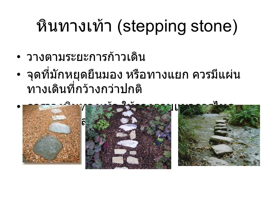 หินทางเท้า (stepping stone)