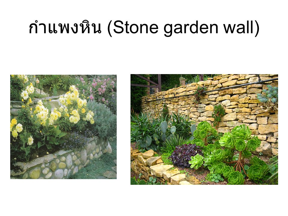 กำแพงหิน (Stone garden wall)