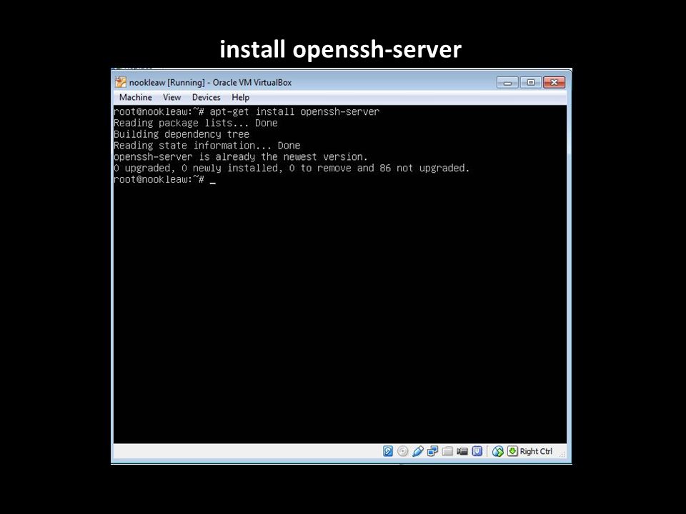 install openssh-server