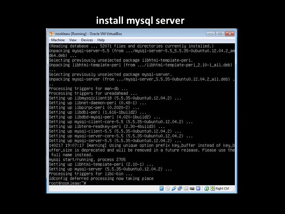 install mysql server