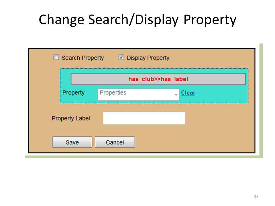 Change Search/Display Property