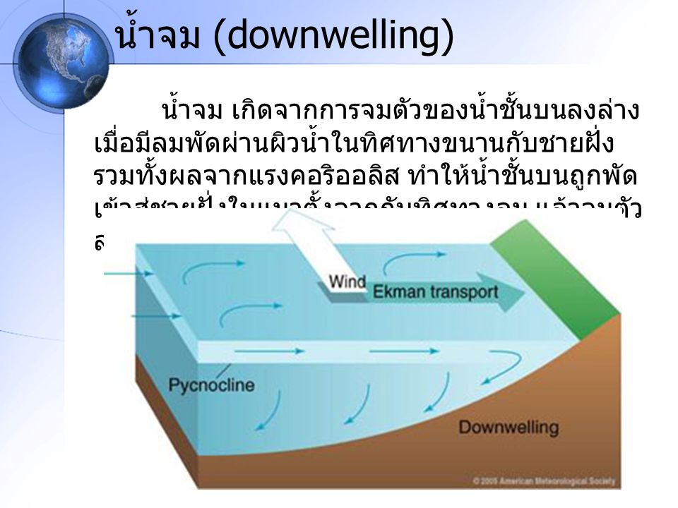 น้ำจม (downwelling)