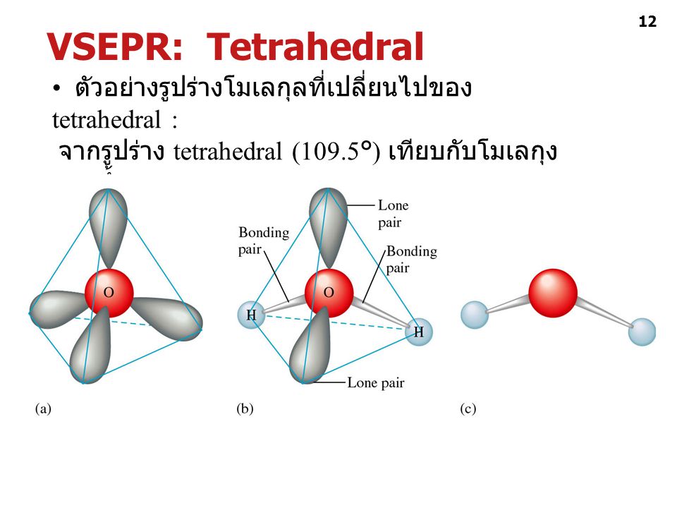 VSEPR: Tetrahedral • ตัวอย่างรูปร่างโมเลกุลที่เปลี่ยนไปของ tetrahedral : จากรูปร่าง tetrahedral (109.5°) เทียบกับโมเลกุงของน้ำ:
