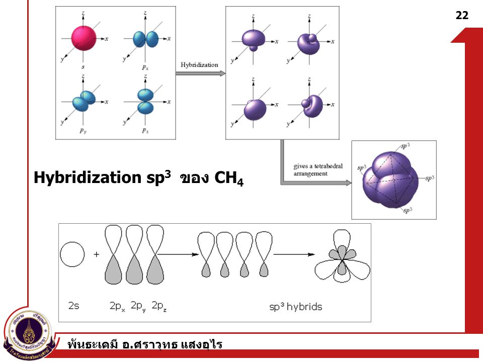 Hybridization sp3 ของ CH4