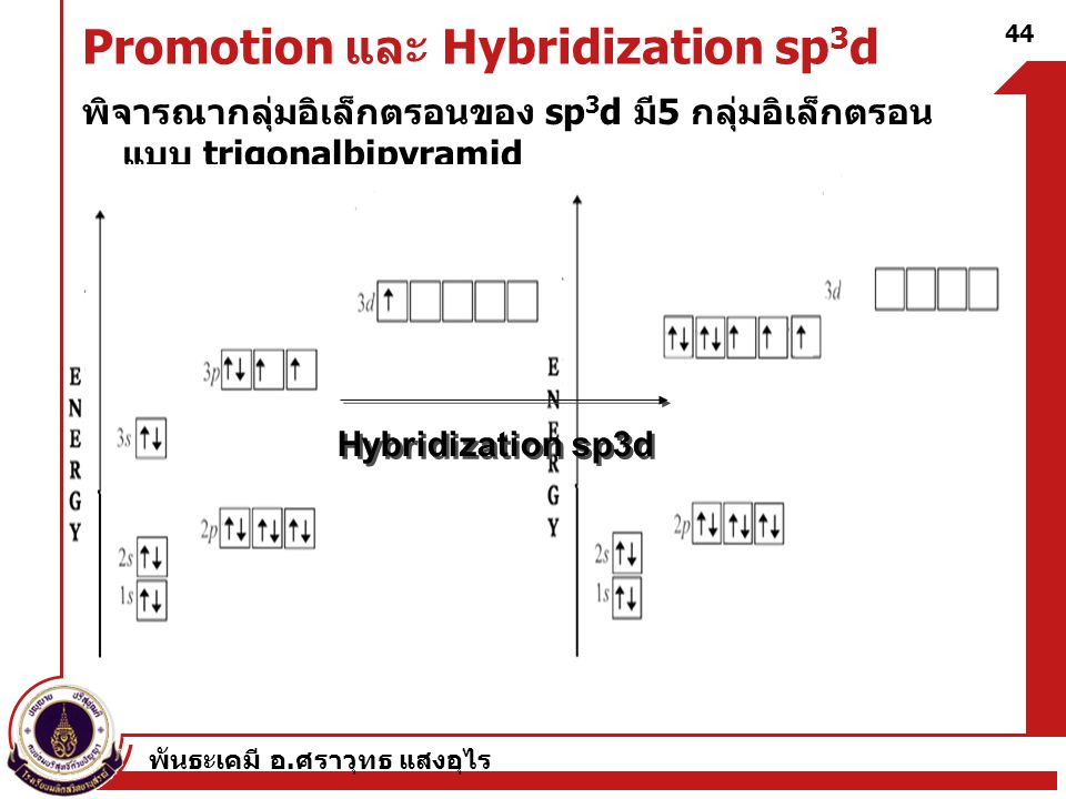 Promotion และ Hybridization sp3d