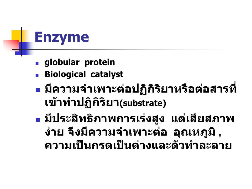 Enzyme มีความจำเพาะต่อปฏิกิริยาหรือต่อสารที่เข้าทำปฏิกิริยา(substrate)