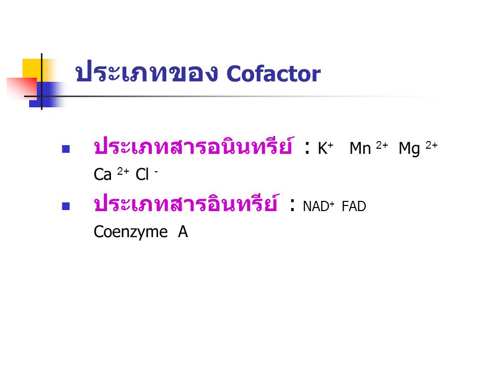 ประเภทของ Cofactor ประเภทสารอนินทรีย์ : K+ Mn 2+ Mg 2+ Ca 2+ Cl -