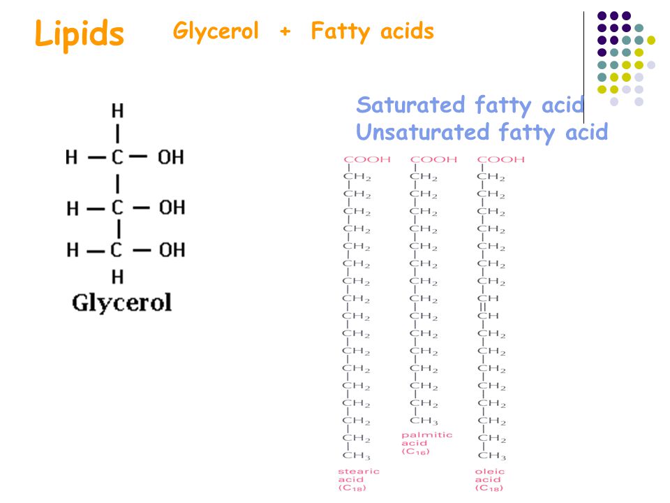 Lipids Glycerol + Fatty acids