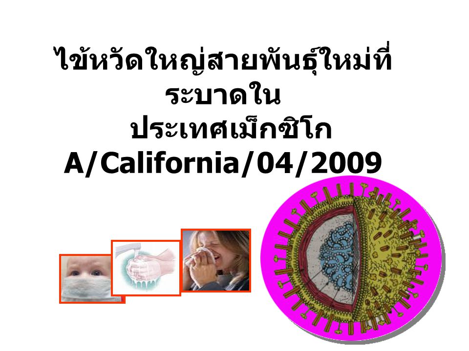 ไข้หวัดใหญ่สายพันธุ์ใหม่ที่ระบาดใน ประเทศเม็กซิโก A/California/04/2009