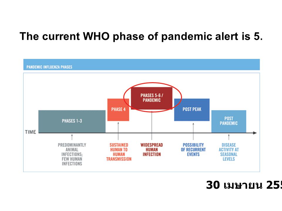 The current WHO phase of pandemic alert is 5.