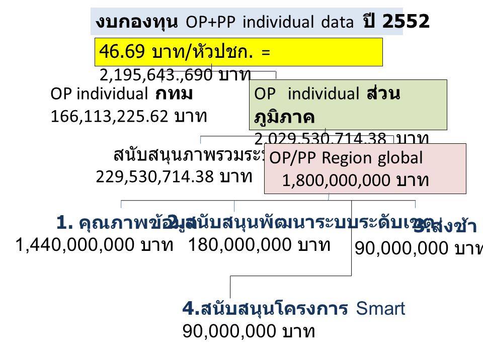 งบกองทุน OP+PP individual data ปี 2552