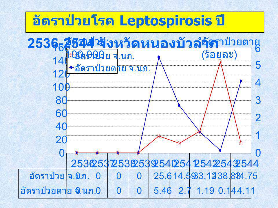 อัตราป่วยโรค Leptospirosis ปี จังหวัดหนองบัวลำภู