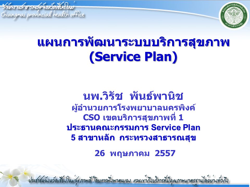แผนการพัฒนาระบบบริการสุขภาพ(Service Plan)