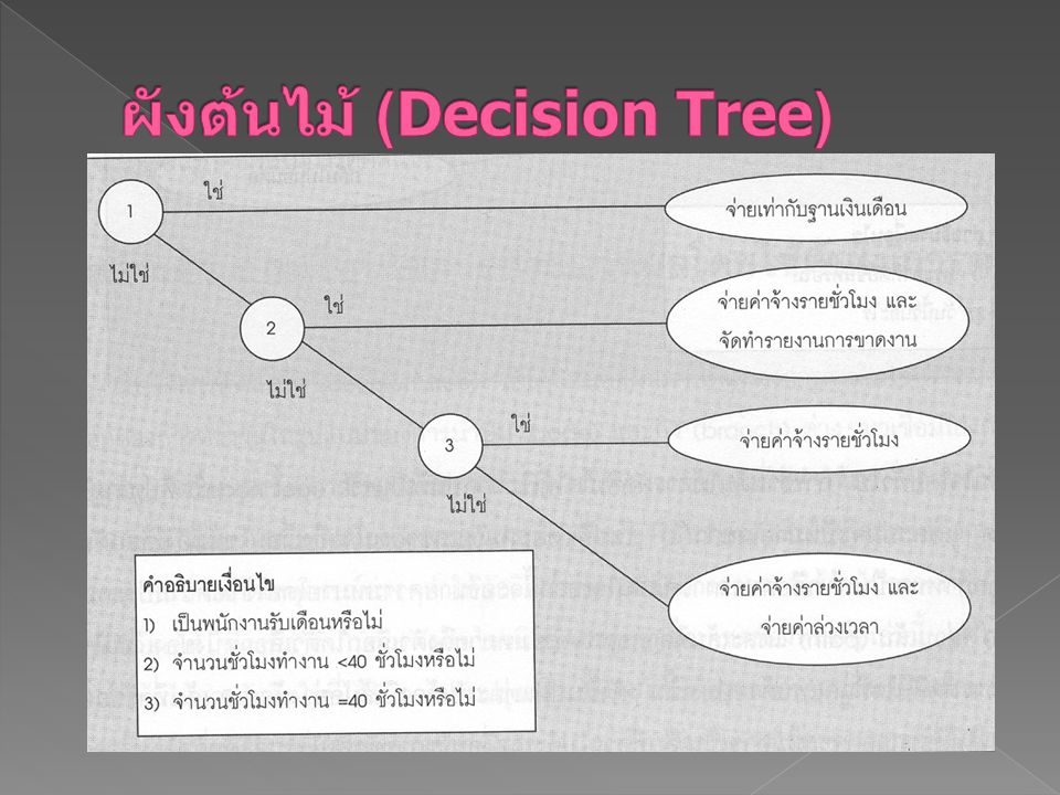 ผังต้นไม้ (Decision Tree)