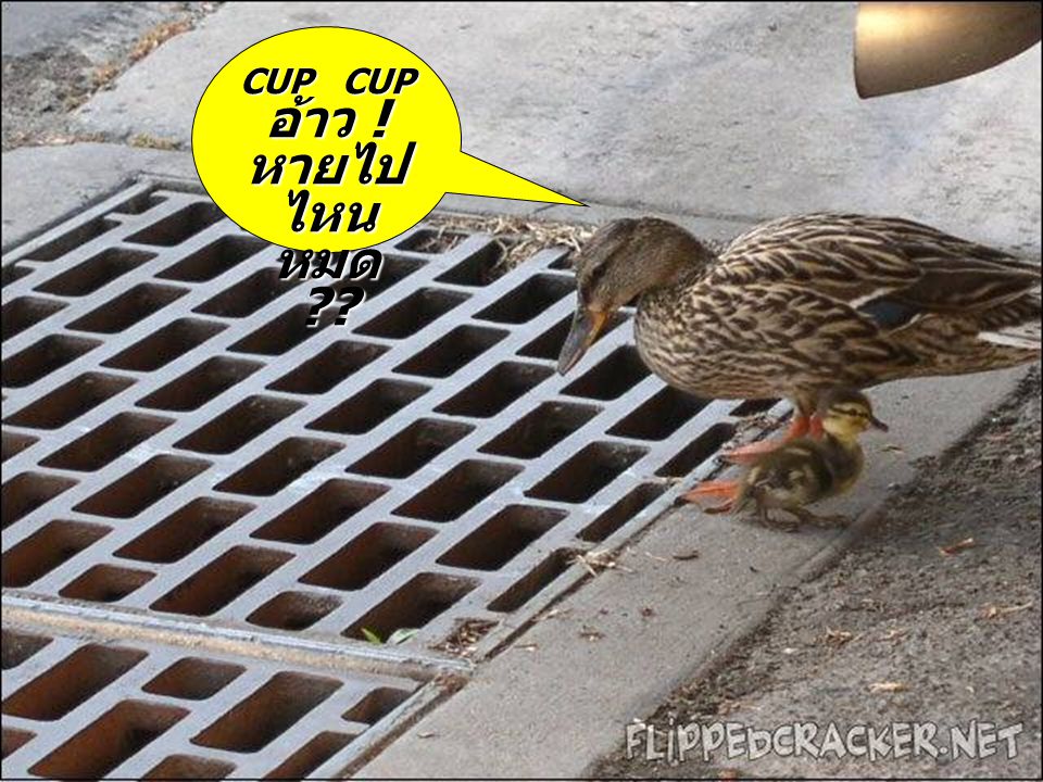 CUP CUPอ้าว ! หายไปไหนหมด