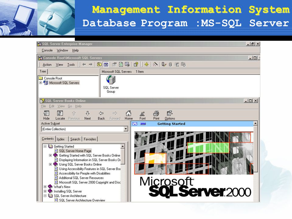 Management Information System Database Program :MS-SQL Server