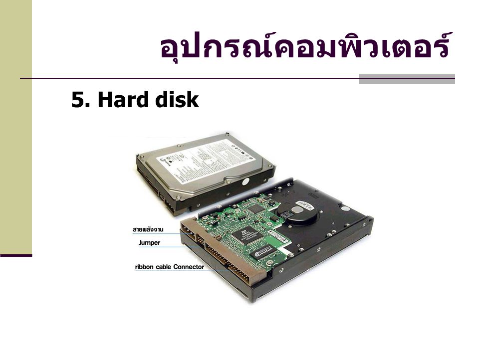 อุปกรณ์คอมพิวเตอร์ 5. Hard disk