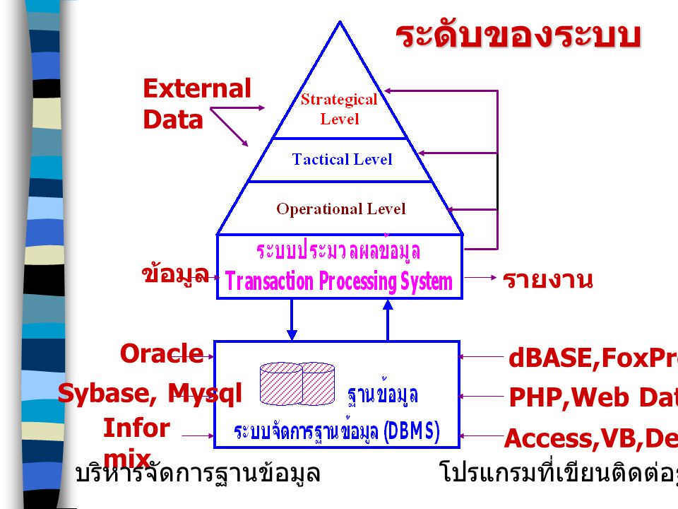 ระดับของระบบ รายงาน External Data ข้อมูล Oracle Sybase, Mysql