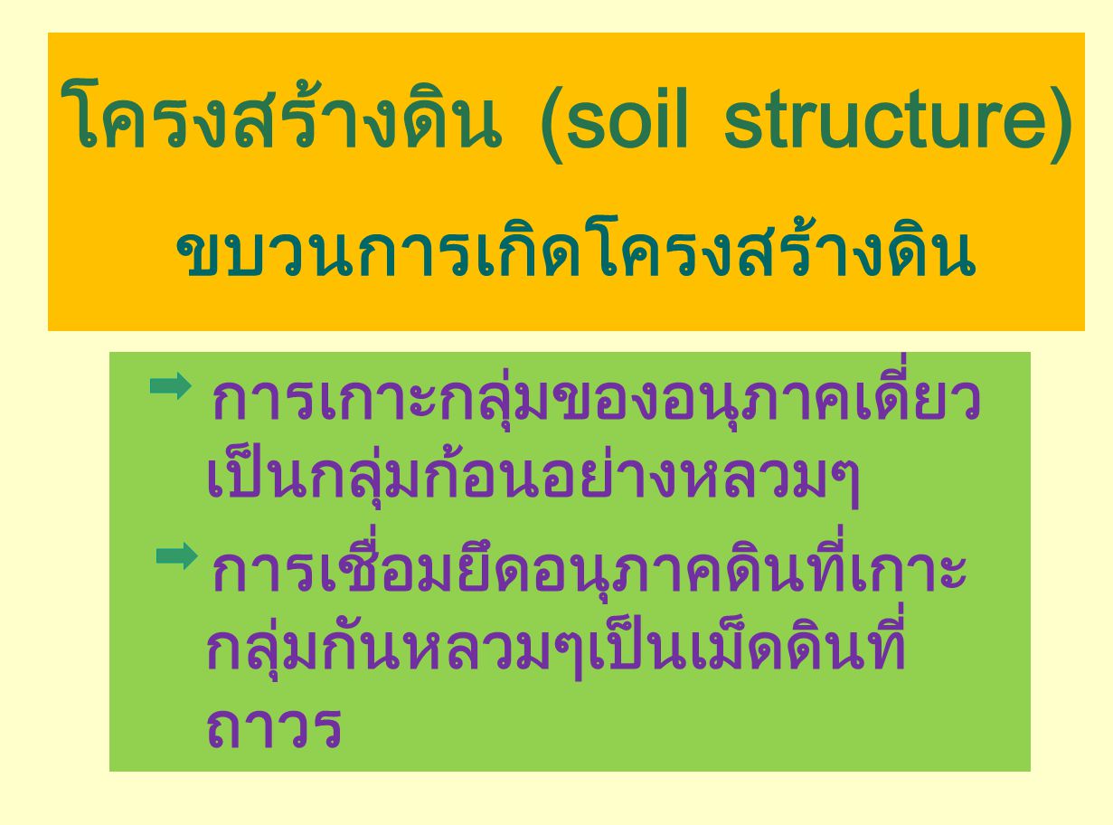 โครงสร้างดิน (soil structure) ขบวนการเกิดโครงสร้างดิน