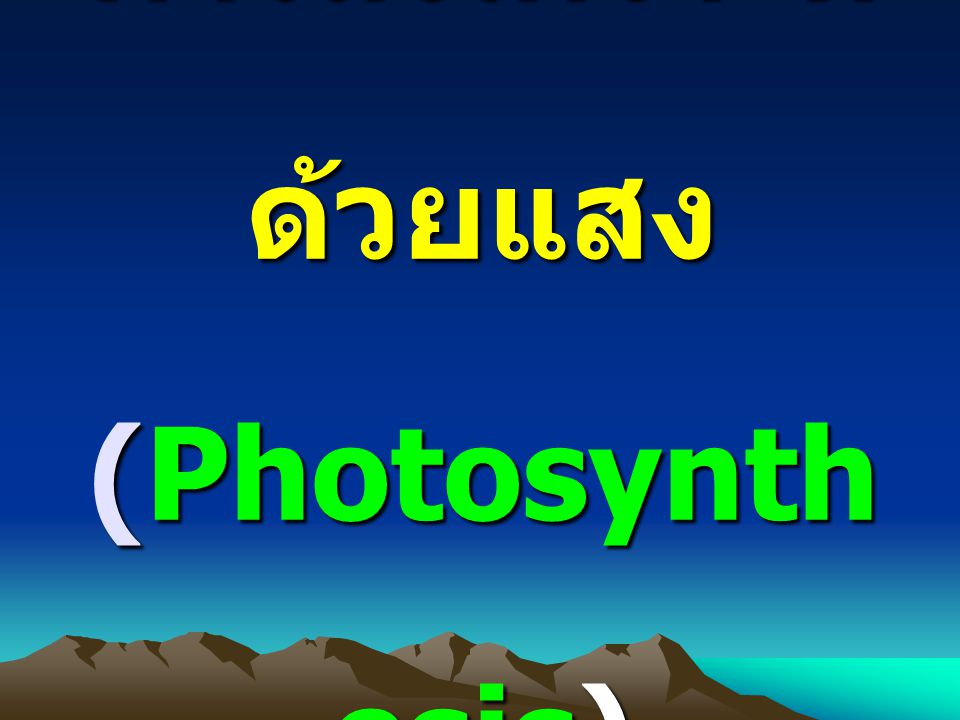 การสังเคราะห์ด้วยแสง (Photosynthesis)