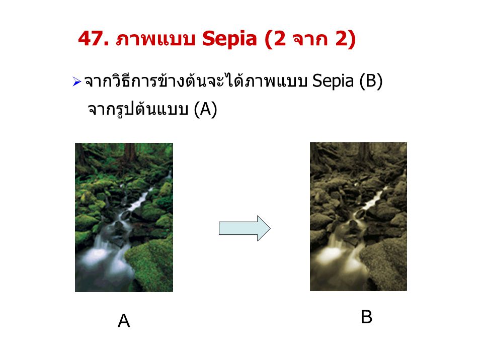 47. ภาพแบบ Sepia (2 จาก 2) B A จากวิธีการข้างต้นจะได้ภาพแบบ Sepia (B)