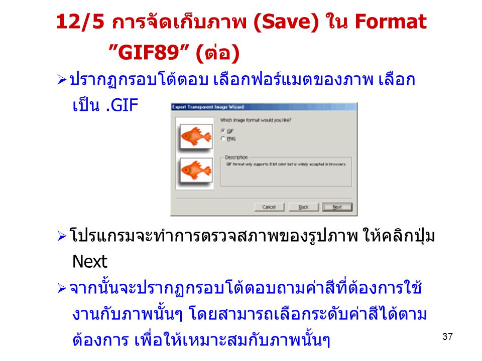 12/5 การจัดเก็บภาพ (Save) ใน Format GIF89 (ต่อ)