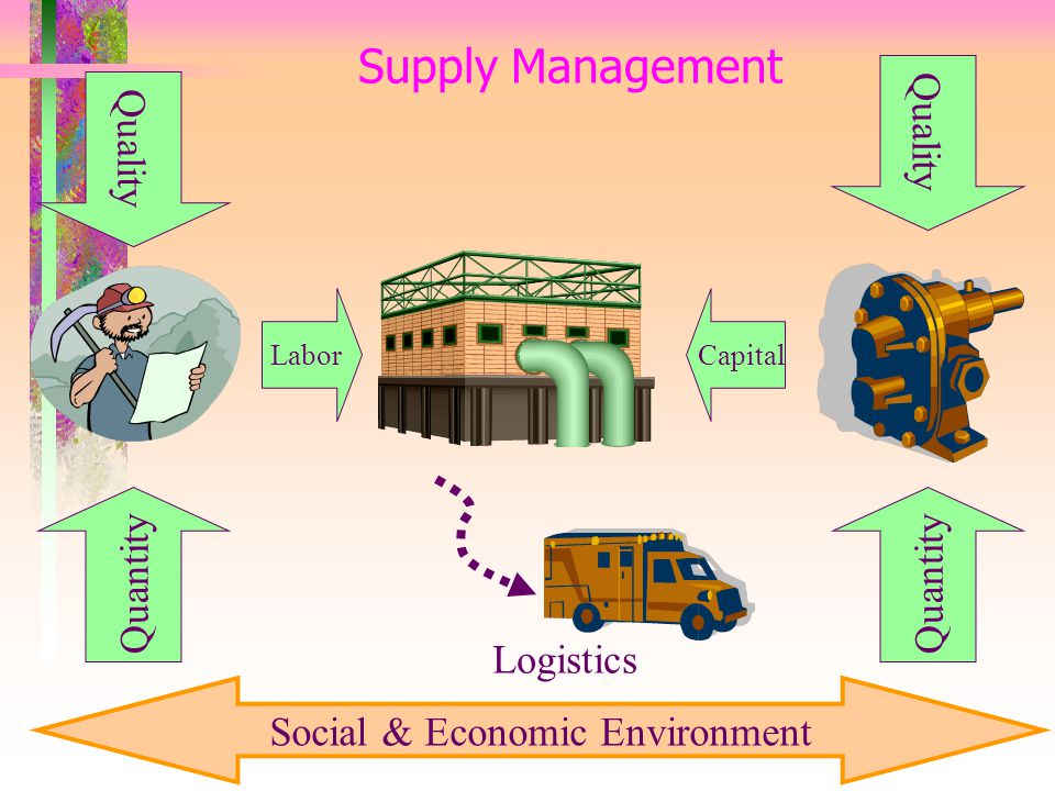 Social & Economic Environment