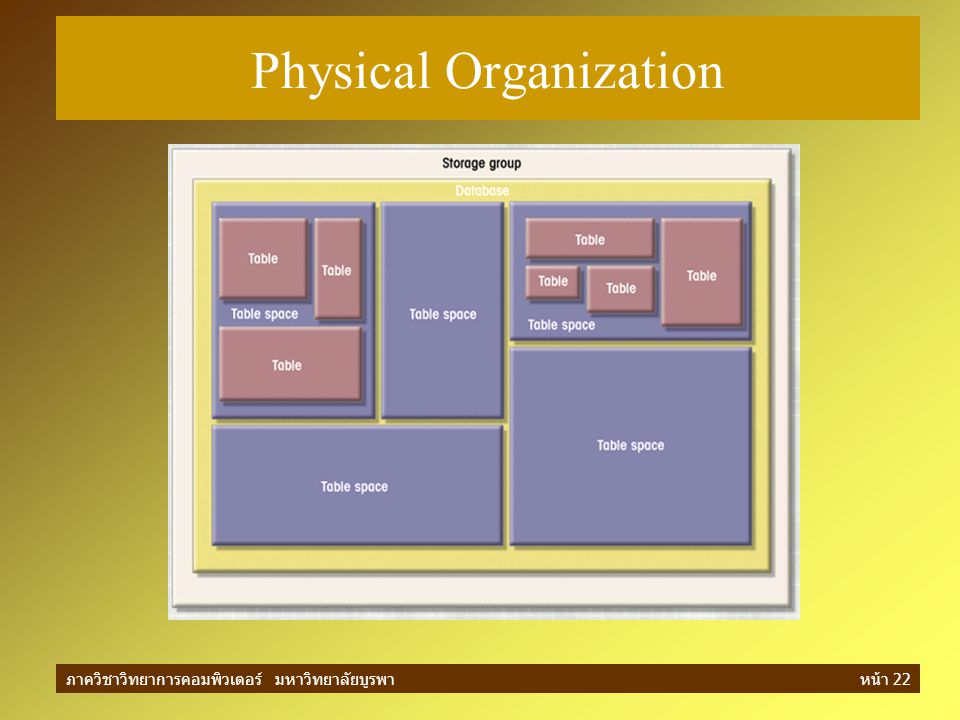 Physical Organization
