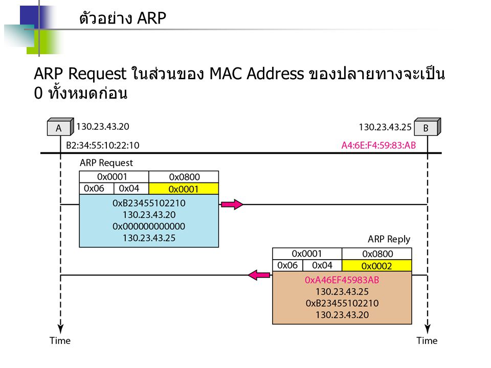 ตัวอย่าง ARP ARP Request ในส่วนของ MAC Address ของปลายทางจะเป็น 0 ทั้งหมดก่อน