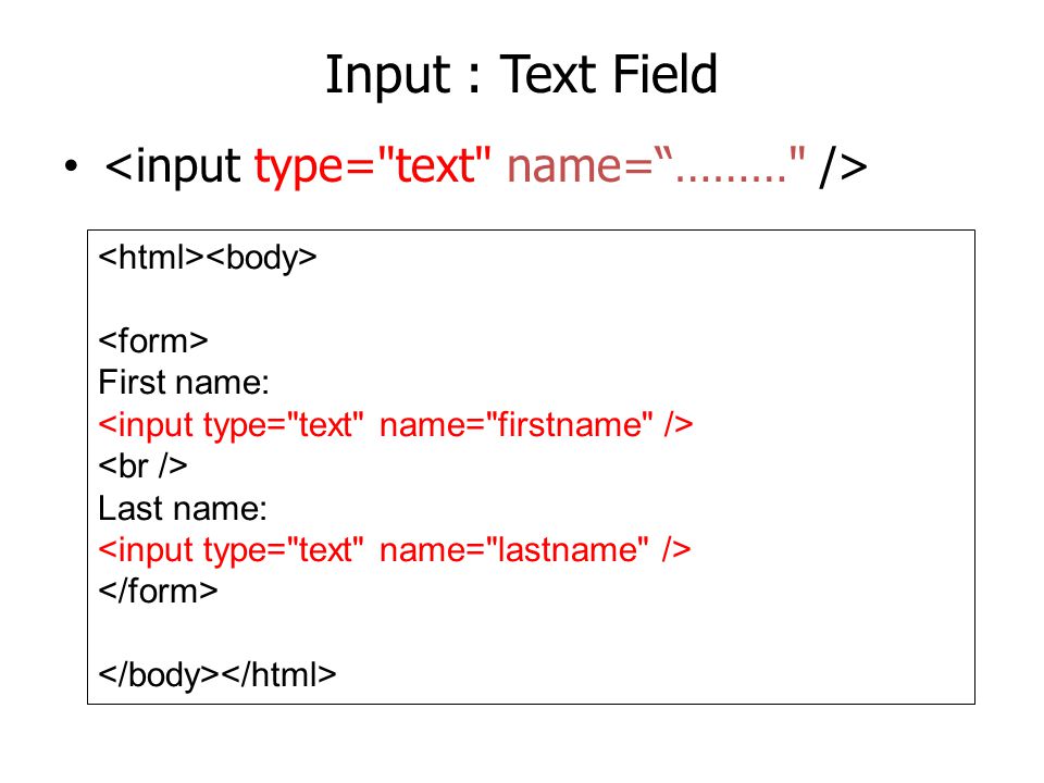 Input : Text Field <input type= text name= ……… />