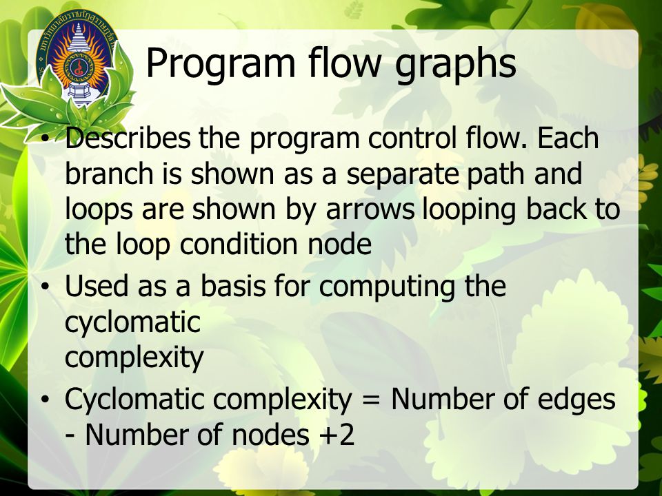 Program flow graphs