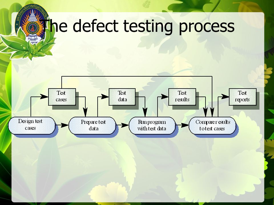 The defect testing process