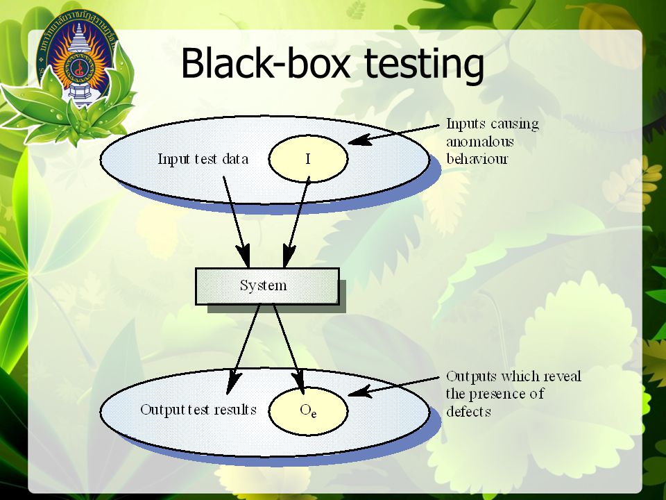Black-box testing