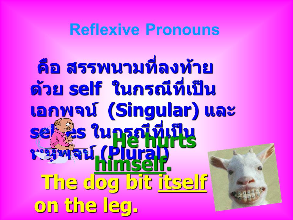 Reflexive Pronouns คือ สรรพนามที่ลงท้ายด้วย self ในกรณีที่เป็นเอกพจน์ (Singular) และ selves ในกรณีที่เป็นพหูพจน์ (Plural)
