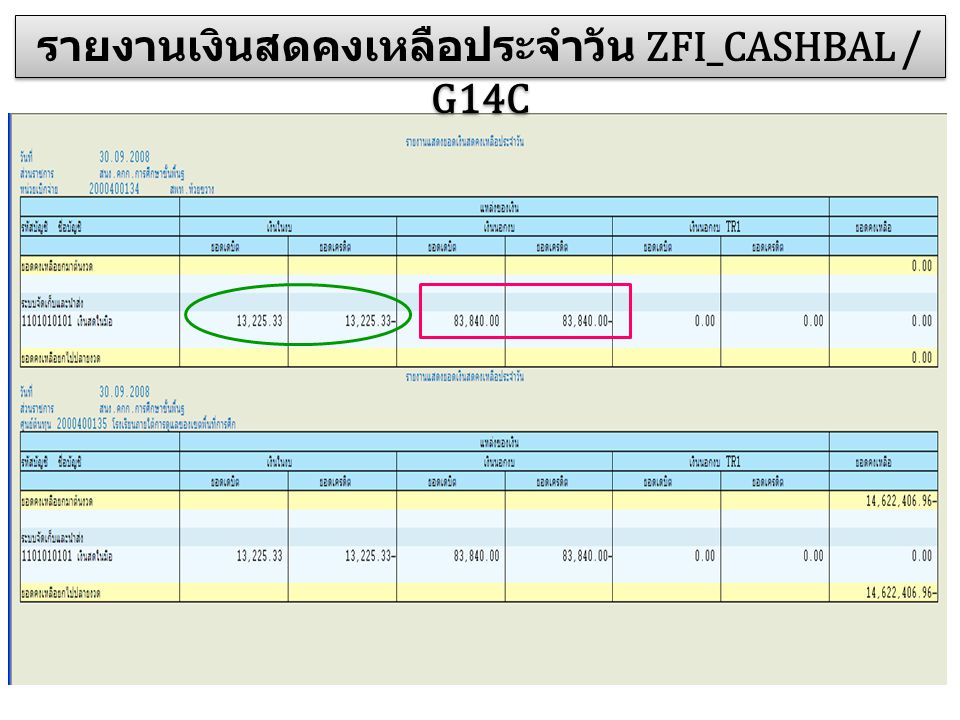 รายงานเงินสดคงเหลือประจำวัน ZFI_CASHBAL / G14C