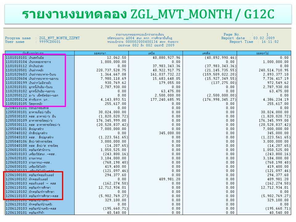 รายงานงบทดลอง ZGL_MVT_MONTH / G12C