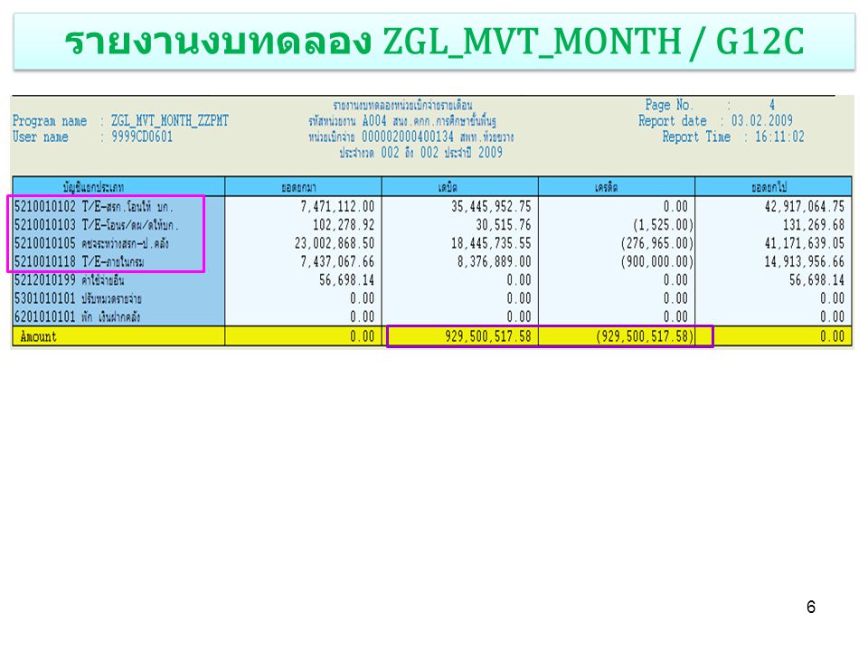 รายงานงบทดลอง ZGL_MVT_MONTH / G12C