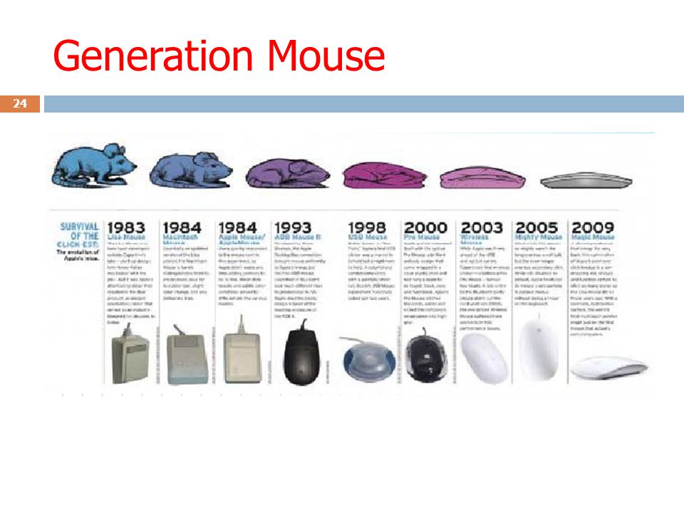 Generation Mouse