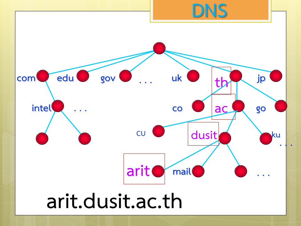 arit.dusit.ac.th DNS arit th ac dusit com edu gov uk jp co go mail