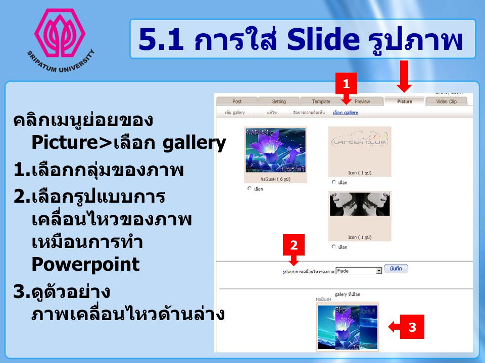 5.1 การใส่ Slide รูปภาพ คลิกเมนูย่อยของ Picture>เลือก gallery